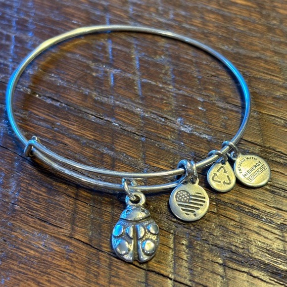 Alex & Ani Silver Ladybug Charm Bracelet - Picture 4 of 5